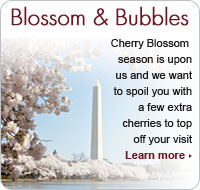 Blossom & Bubbles