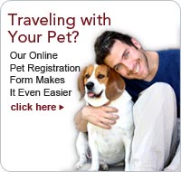 Traveling with Your Pet