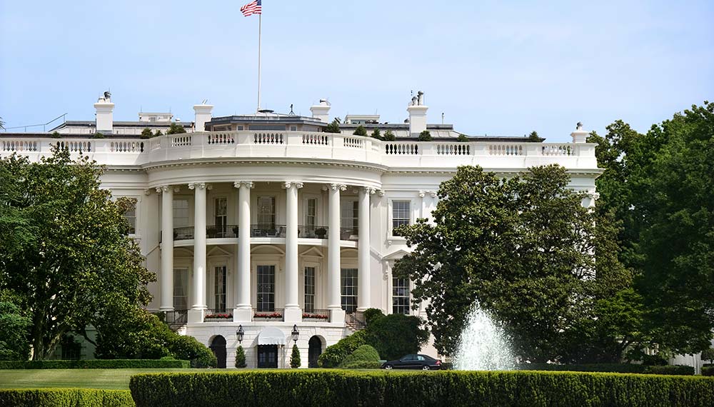 the white house